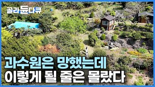 과수원 실패하고 그대로 주저앉을 수 없어 집념으로 무작정 꽃과 나무를 심었는데｜지금 당장 일이 안 풀린다고 포기하면 안되는 이유｜바다가 보이는 꿈의 정원｜한국기행｜#골라듄다큐