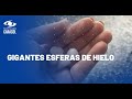 Impactantes imágenes de granizada en Bogotá: hielo alcanza 2 centímetros