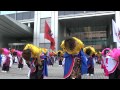 ２０１３　ドリーム夜さ来い祭り（朝霞鳴子一族め組）ーさきほこれ め組道