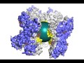 animation of ns1 protein structure