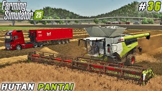 Setting Up Our Oil Mill \u0026 Harvesting Rapeseed | Farming Simulator 25 | Hutan Pantai Farm | ep #36