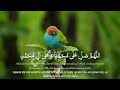 নবীর জন্য দোয়া দুরুদ শরীফ এক ঘণ্টা। healing recitation of durood sharif durood e ibrahim