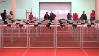 BBM Halle 25.01.2014 - 60m Hürden Männer Finale