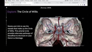 Learning to Learn - overview of the Anatomage Webinar