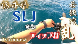 【福井県若狭湾】SLJのちティップが乱❕