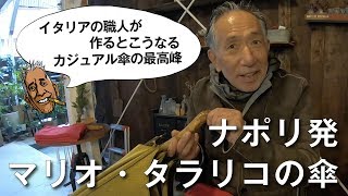 【 マリオタラリコ 岸田100アイテム】イタリアの職人が作るとこうなる Mario Talaricoの傘