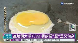 飼料價格波動+天氣冷 蛋雞產量少一半｜華視新聞 20211227