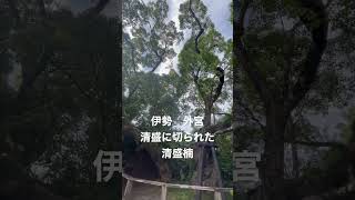 伊勢神宮外宮　清盛楠