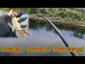 Aliran Sungai Kecil Ternyata Banyak Isinya || Mancing Betok || Mancing Gabus @Teddy Barlian Nur