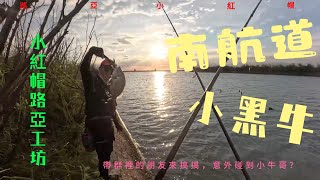 路亞黑鯛、路亞紅糟、路亞石斑、路亞釣點、根魚、路亞硬餌、小米諾、路亞初學者、七股釣點、台南釣點、千夏居酒屋、高雄居酒屋、日式居酒屋、#fishing #lurefishing #根魚 #台南