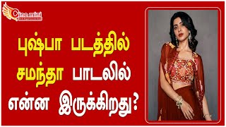 புஷ்பா படத்தில் சமந்தா பாடலில்  என்ன இருக்கிறது?