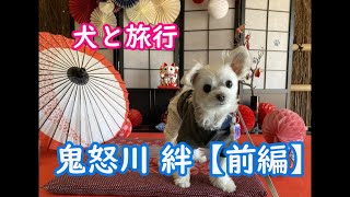 【犬と旅行】鬼怒川 絆 （前編）【マルチーズわたまる】