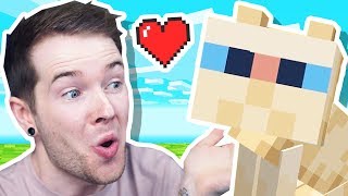 I Tamed a SKINLESS CAT in Minecraft Hardcore!