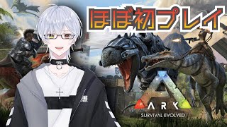 ほぼ初Arcやるぞ('ω')【Arc/アーク】【VTuber】