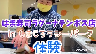 はま寿司ラグーナテンボス店　店長体験(要予約)　10歳ダウン症　あかごはんvlog