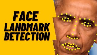 Face Landmark Detection - Demo - Building a deepfake