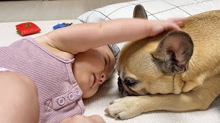 Can't Believe Our Baby Did This With My Dog ** TOO CUTE
