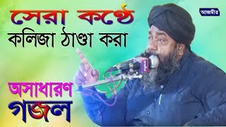 সেরা কণ্ঠে অসাধারণ গজল হাসান রেজা | Hasan Reza | Bangla Gojol | New Naat | -2019