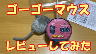 【保護猫】うちのかわいい猫2匹をゴーゴーマウスで遊ばせてみた　おもちゃレビュー