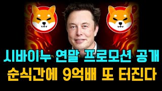 시바이누코인 연말 프로모션! 이번에도 순식간에 9억배 또 터진다!!