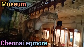 chennai museum part 2 - vlog Tamil - சென்னை எக்மோர் அருங்காட்சியகம் - பகுதி 2