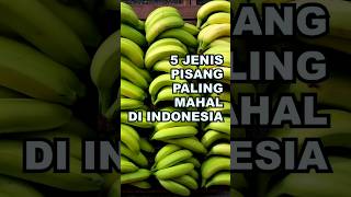 5 Jenis Pisang Paling Mahal di Indonesia #ekoazis