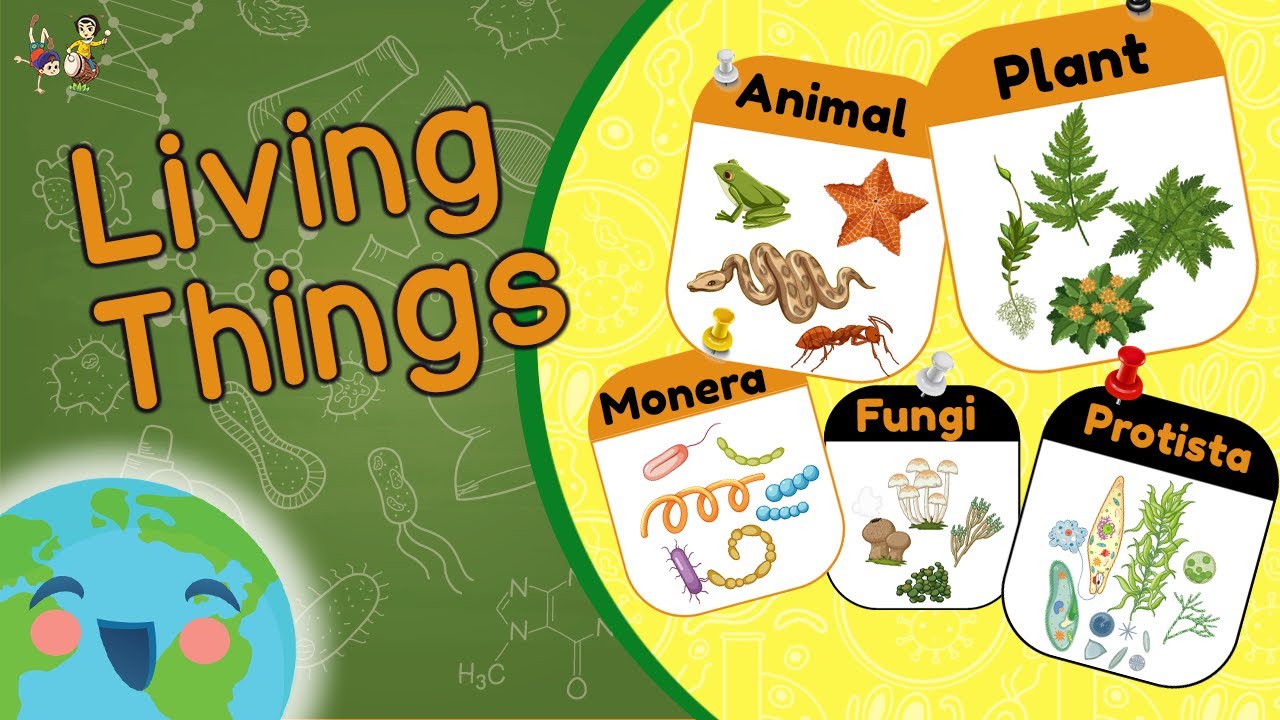 Living Things And Their Classification 5 Kingdoms Of Living Things