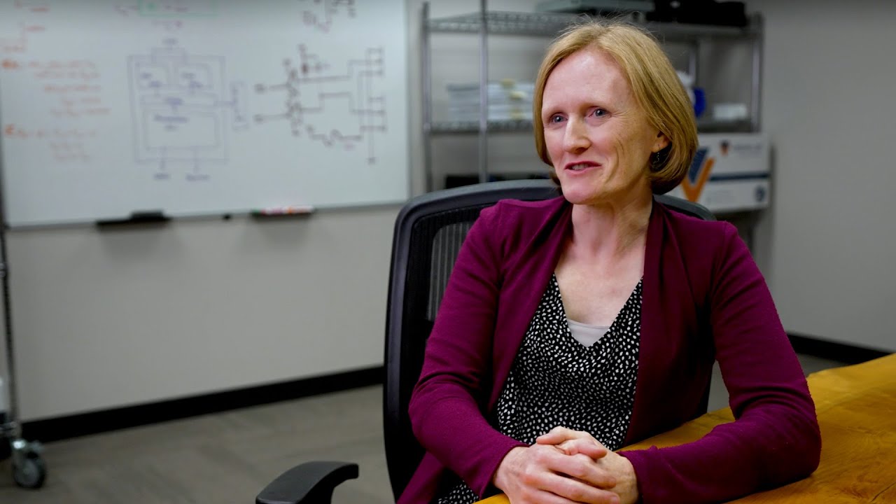 Software Engineering Simplexity Product Development Youtube