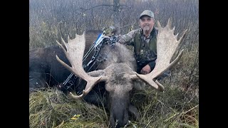 Moose Bowhunting at 10yds