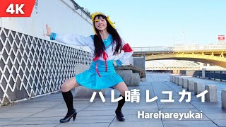 【強風】ハレ晴レユカイ踊って歌ってみた　Harehareyukai/The Melancholy of Haruhi Suzumiya