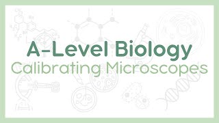 CALIBRATING MICROSCOPES : Eyepiece and stage graticules | A-Level Biology (AQA, OCR, Edexcel)