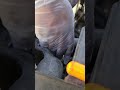 2003 toyota matrix xr condenser replacement