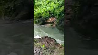 Chola water falls എൻറെ നാട്ടിലെ സുന്ദരമായ വെള്ളച്ചാട്ടം