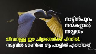 Naduvil | Photography Lovers | നാട്ടിൻപുറം നന്മകളാൽ സമൃദ്ധം. ജീവനുള്ള ഈ ചിത്രങ്ങൾക്ക് പിന്നിൽ.