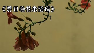 《夏日姜花未语情》#小说推荐 #推文 #小说 #一口气看完 #爽文