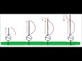 lunghezze stili antenne bobine non bobine condensatori non condensatori realtà e miti