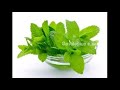 புதினா இலையை இப்படி பயன்படுத்தினால் தான் நல்லது how to use mint leaves benefits of mint leaves tamil