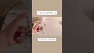 이케아 절반값 다이소! 디자인은 더 예쁜데? #삶의질상승템 #살림꿀템