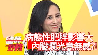 病態性肥胖影響大！內臟爛光竟無感？！【醫師好辣】20200408 part2 EP924 張振榕 蔡英傑