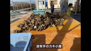 阪南のうまいもん「波有手の牡蠣」