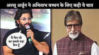 Allu Arjun is Fan of Amitabh Bachchan's Acting In Bollywood | Know What He Said About Bigg B