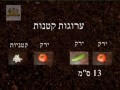 כלאי זרעים.mpg