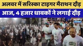 Tiger Marathon: Alwar में Sariska Tiger Marathon दौड़ आज, 21 किमी में 4 हजार धावकों ने लगाई दौड़