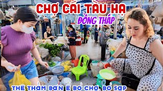 Thê Thảm BÁN Ế BỎ CHỢ, BỎ SẠP TẠI CHỢ CÁI TÀU HẠ, ĐỒNG THÁP - CHỢ MỚI VẮNG BÓNG TIỂU THƯƠNG | KPVL