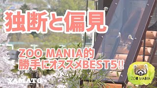 みよし市【ZOO MANIA】vol 15 Foxfire 聖新陶芸 bigjohn 趣味 ZOO活 グラストモス オススメ