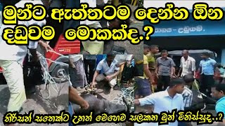 මිනිස් වෙසින් ඉන්න මේ තිරිසන්නුන්ට කරන්න ඕනේ මොකක්ද..?(minis wesin inna thirisannu)