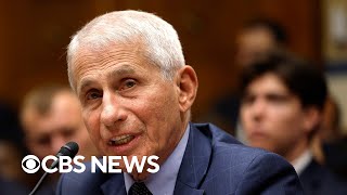 Watch Live: Dr. Anthony Fauci testifies on federal response to pandemic