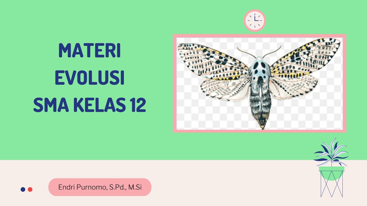 EVOLUSI SMA KELAS 12/ASAL USUL KEHIDUPAN SMA KELAS 12/MATERI BIOLOGI ...