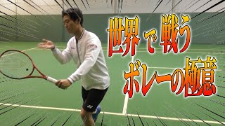 【テニス】 日本代表の西岡良仁のボレー