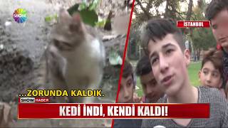 Kedi indi, kendi kaldı!